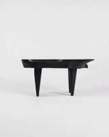 Trunk Seat, angled view, carved timber seat
